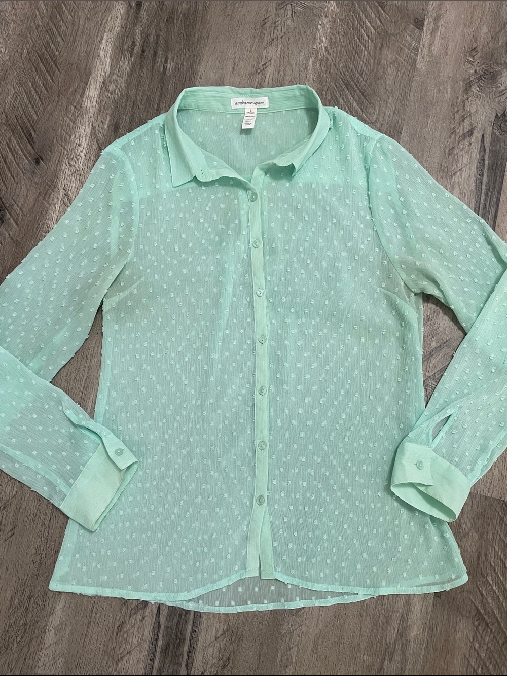 Ambiance Mint Green Sheer Button-Down Blouse